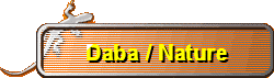 Daba / Nature