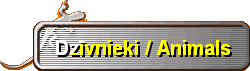 Dzīvnieki / Animals