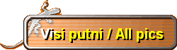 Visi putni / All pics