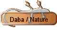 Daba / Nature