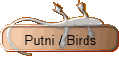 Putni / Birds